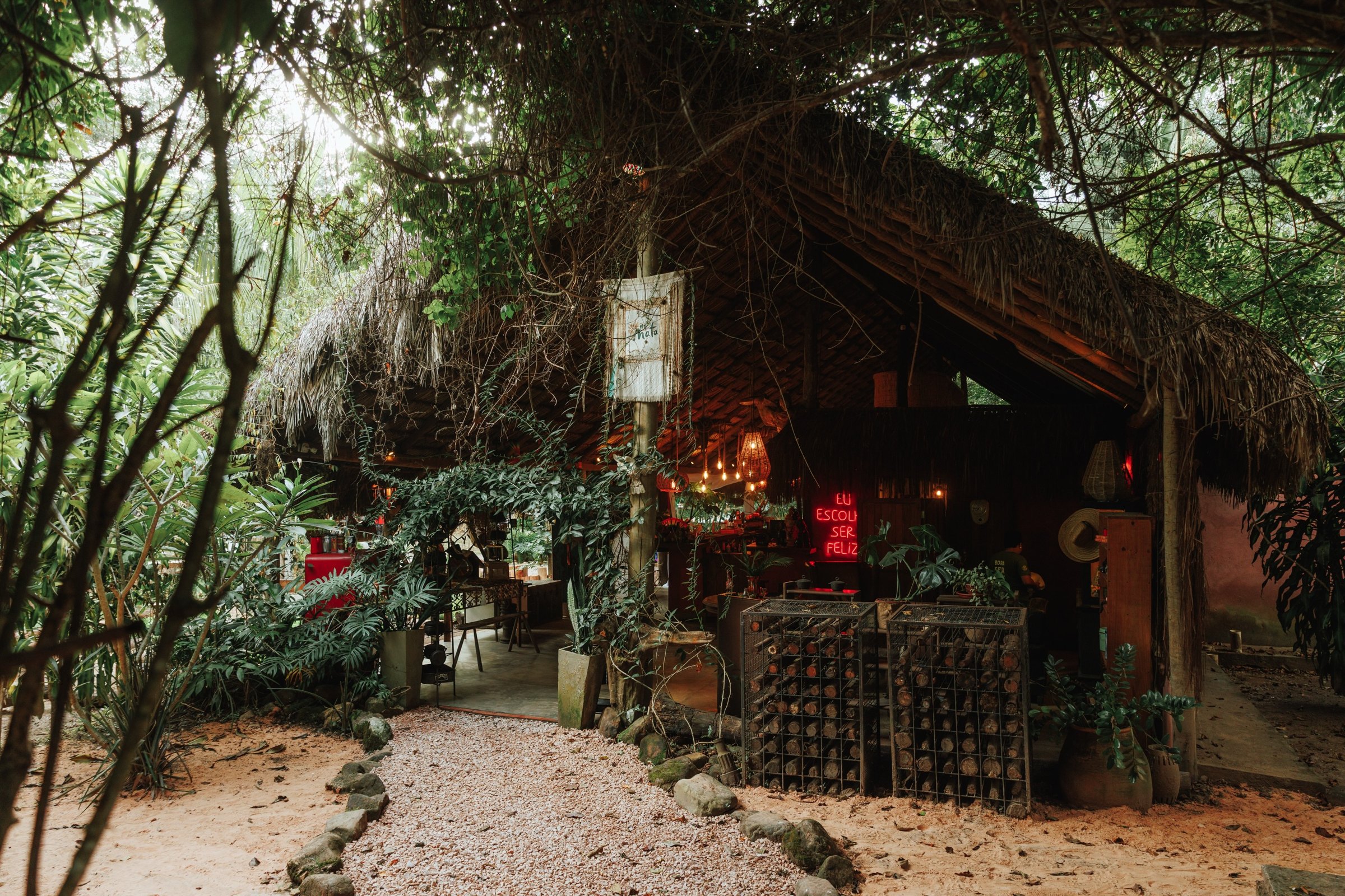 Na Mata Chapada — imagem 6